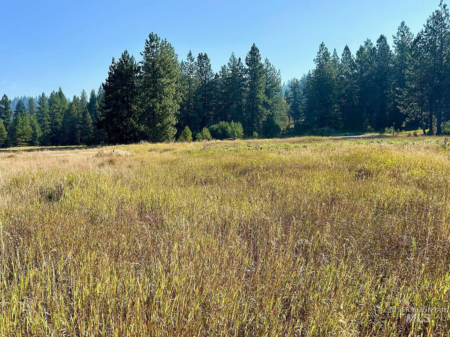 LOT 17 Whitefield Ln McCall, ID 83638  | Land/Lot