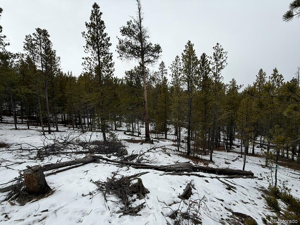 124 Lodge Pole Dr Twin Lakes, CO 81251  | Land/Lot