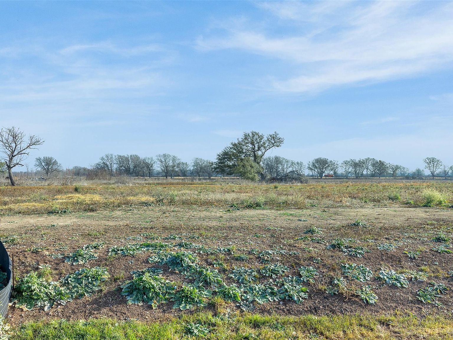 333 Quail Run Rd Martindale, TX 78655  | Land/Lot