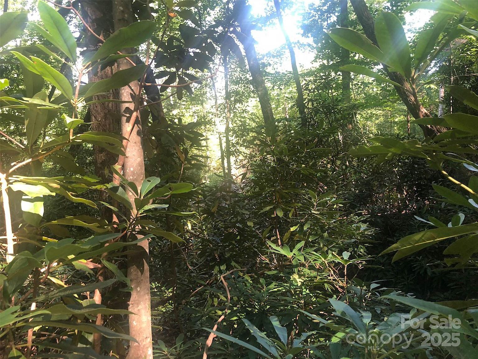 Peppervine Cir #94 Rosman, NC 28772  | Land/Lot