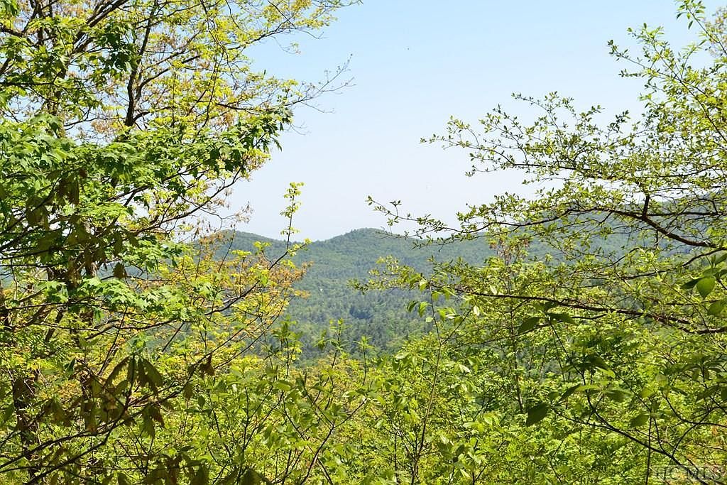 Multi Spike Moss Rd Sapphire, NC 28774  | Land/Lot