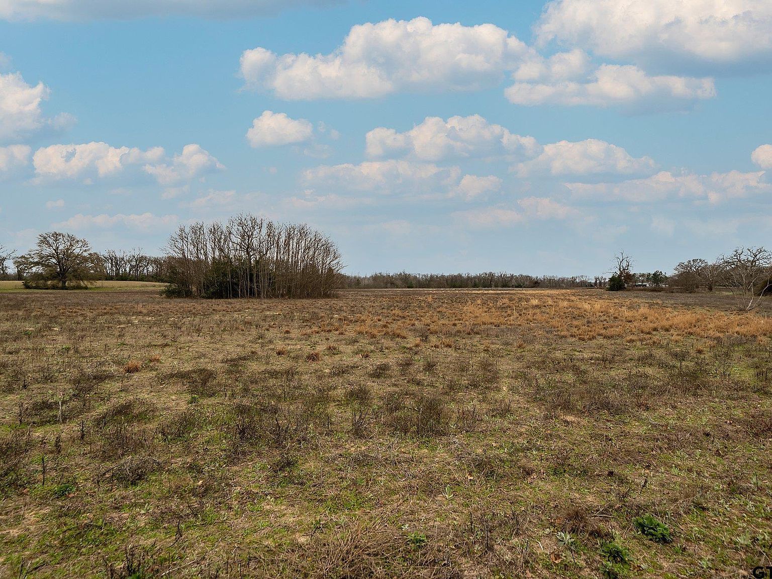 County Road 4903 Athens, TX 75751 | Land/Lot