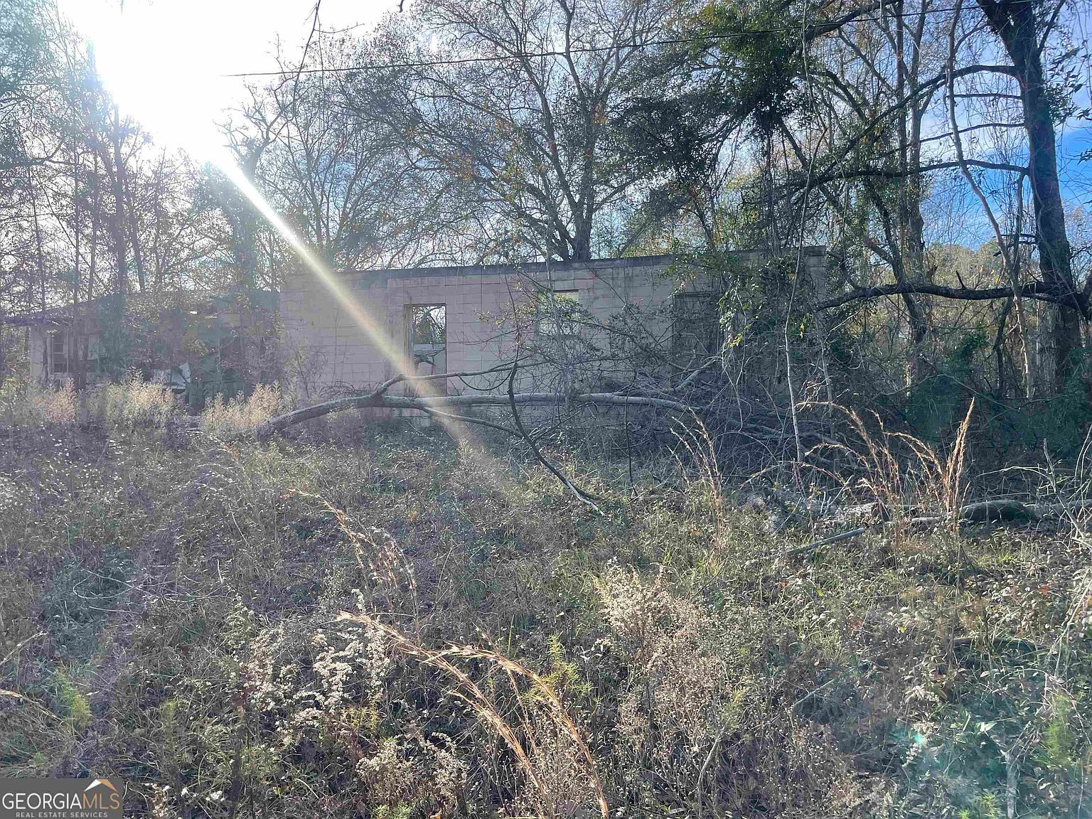 0 Mount Olive Way Soperton, GA 30457 | Land/Lot