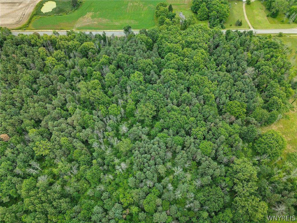 0 Carmen Rd Barker, NY 14012  | Land/Lot