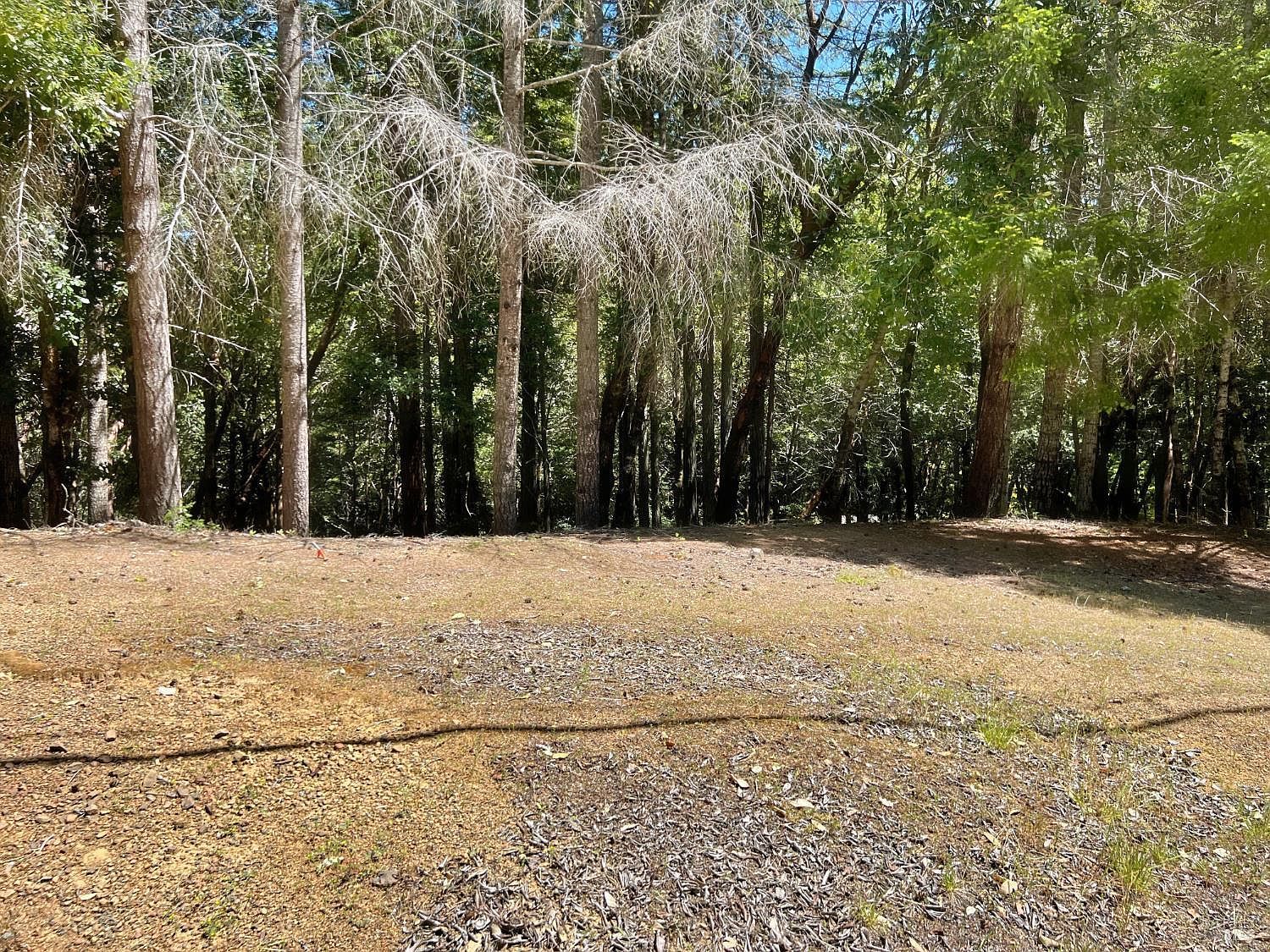 24121 Lilac Rd Willits, CA 95490  | Land/Lot