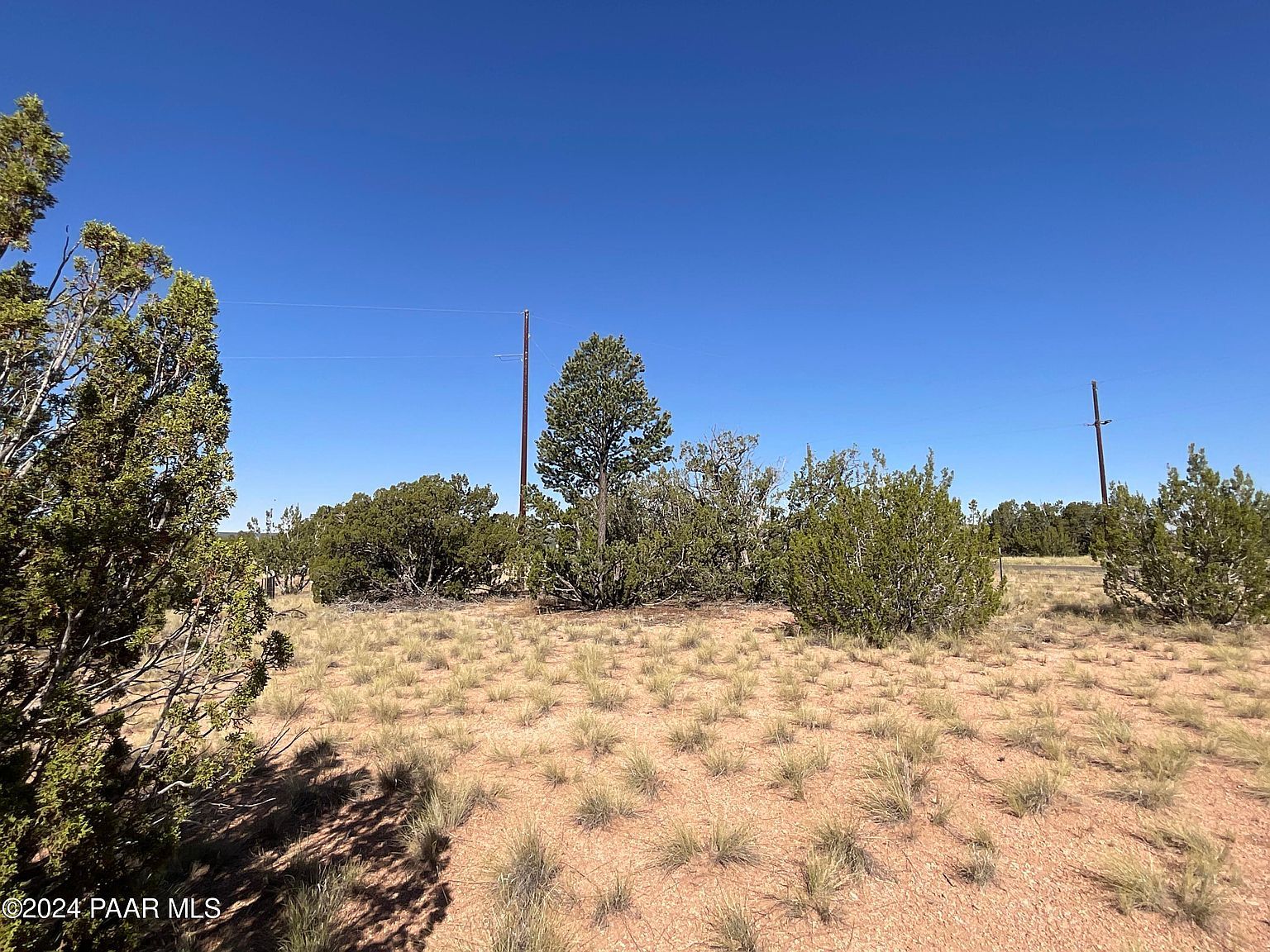 26797 W Fort Rock Rd Seligman, AZ 86337 | Land/Lot