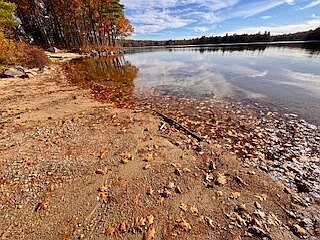 543 Naples Rd Harrison, ME 04040  | Single Family