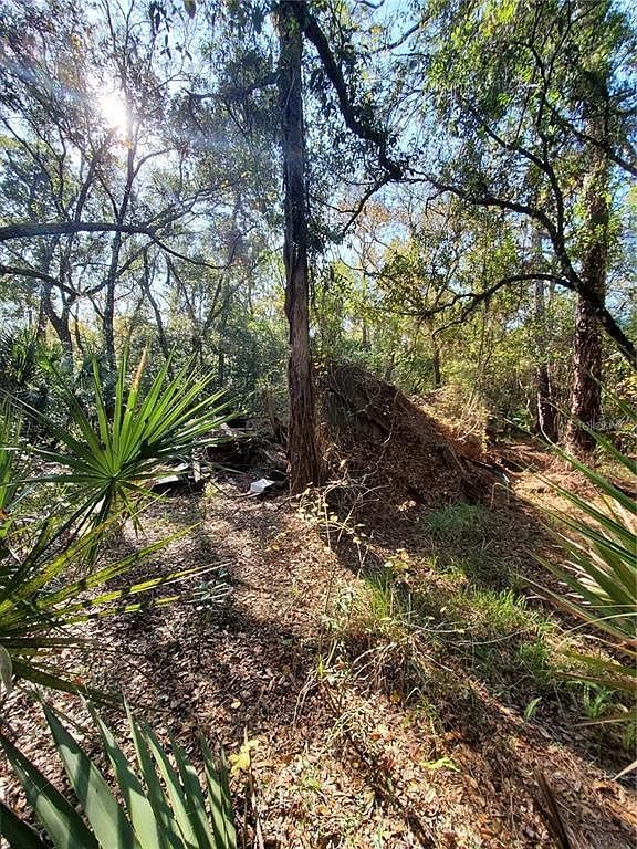 8738 Lindy Ln #2 New Pt Richey, FL 34655 | Land/Lot