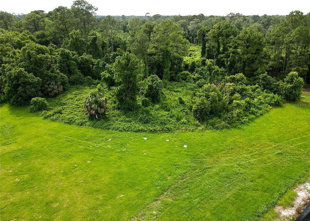 Turkey Shoot Rd LOT 20 Pierson, FL 32180 | Land/Lot