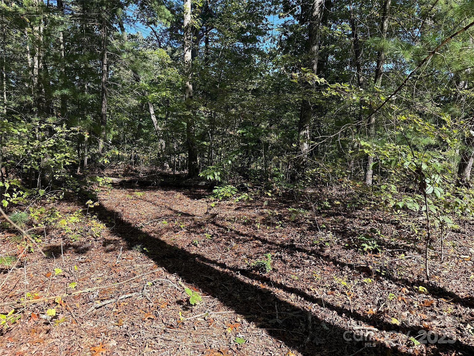 420 Fox Rd #63 Asheville, NC 28804  | Land/Lot