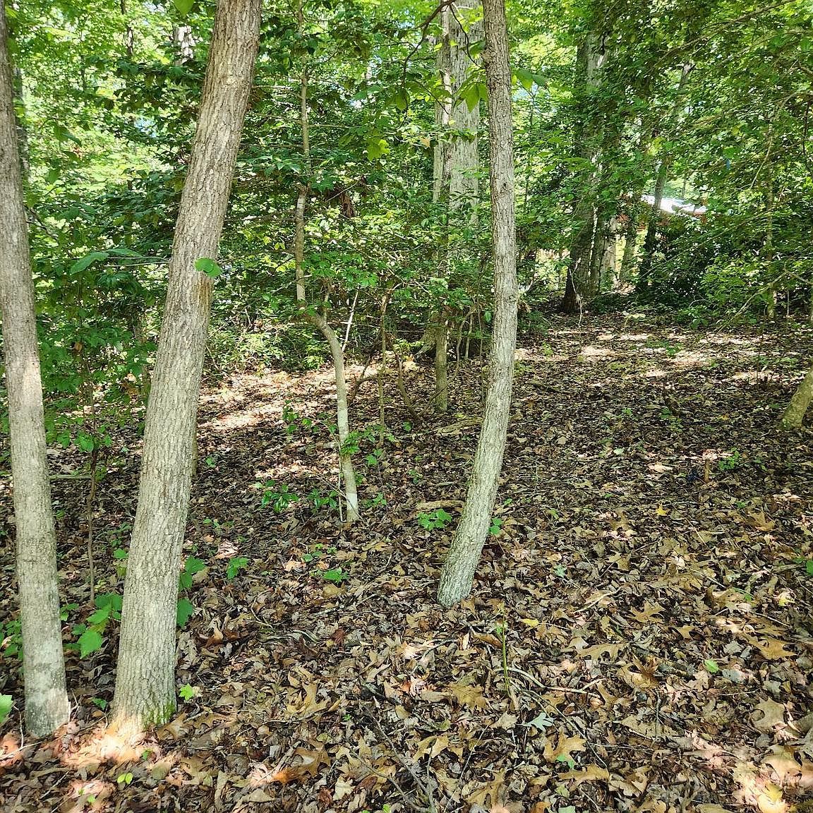 646 White Rock Rd Lusby, MD 20657  | Land/Lot
