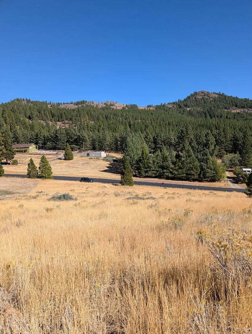 3484 Grizzly Rd Portola, CA 96122  | Land/Lot