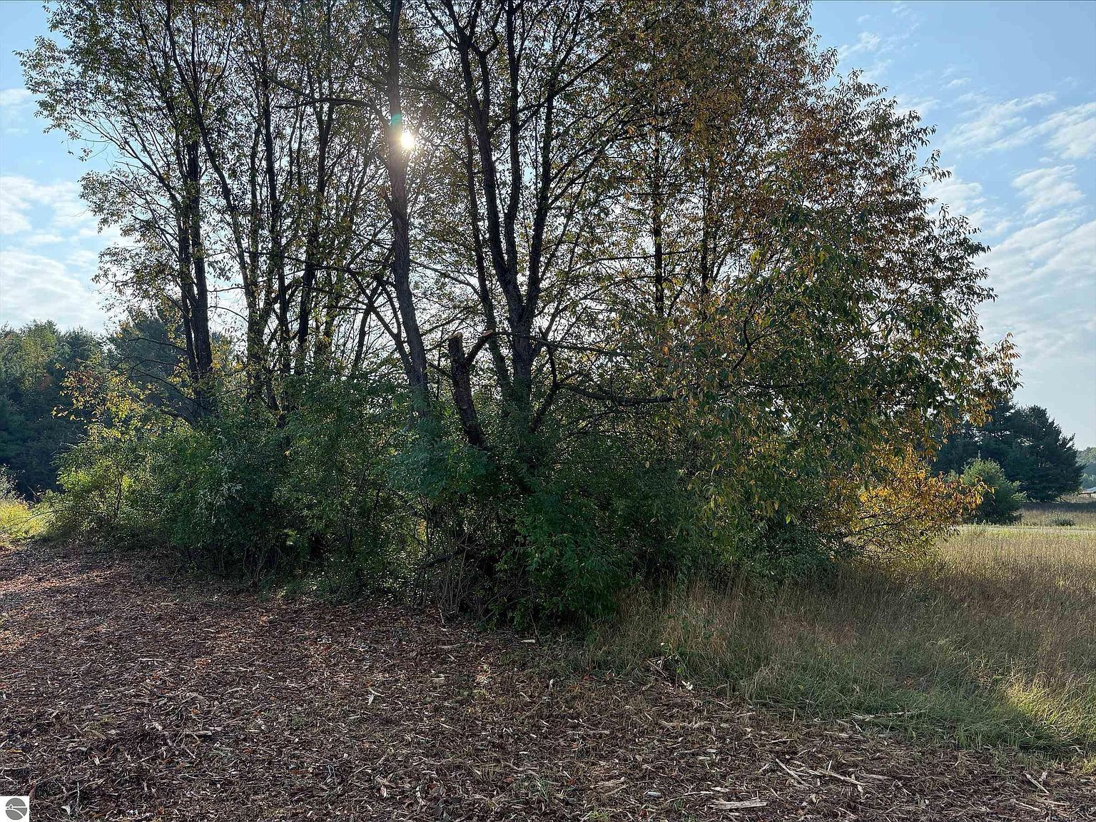 S Maple City Rd Maple City, MI 49664 | Land/Lot