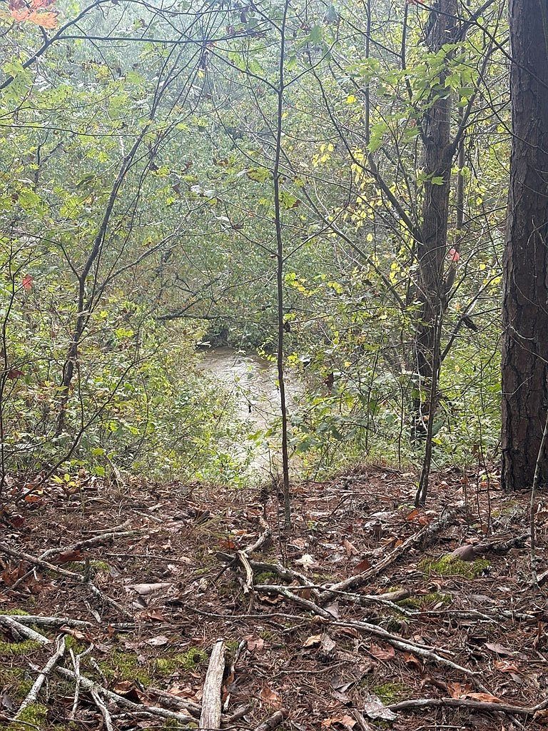 0 Beaver Ridge Rd Murphy, NC 28906  | Land/Lot