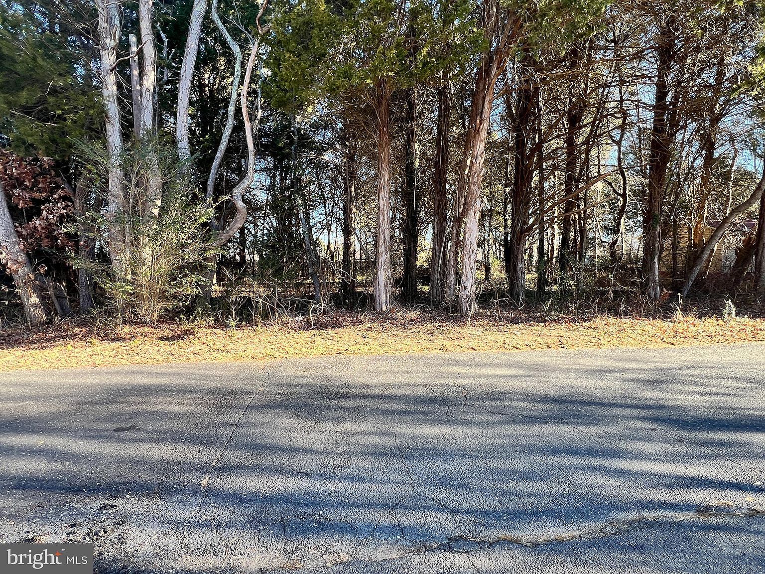 Bay Dr Chaptico, MD 20621  | Land/Lot