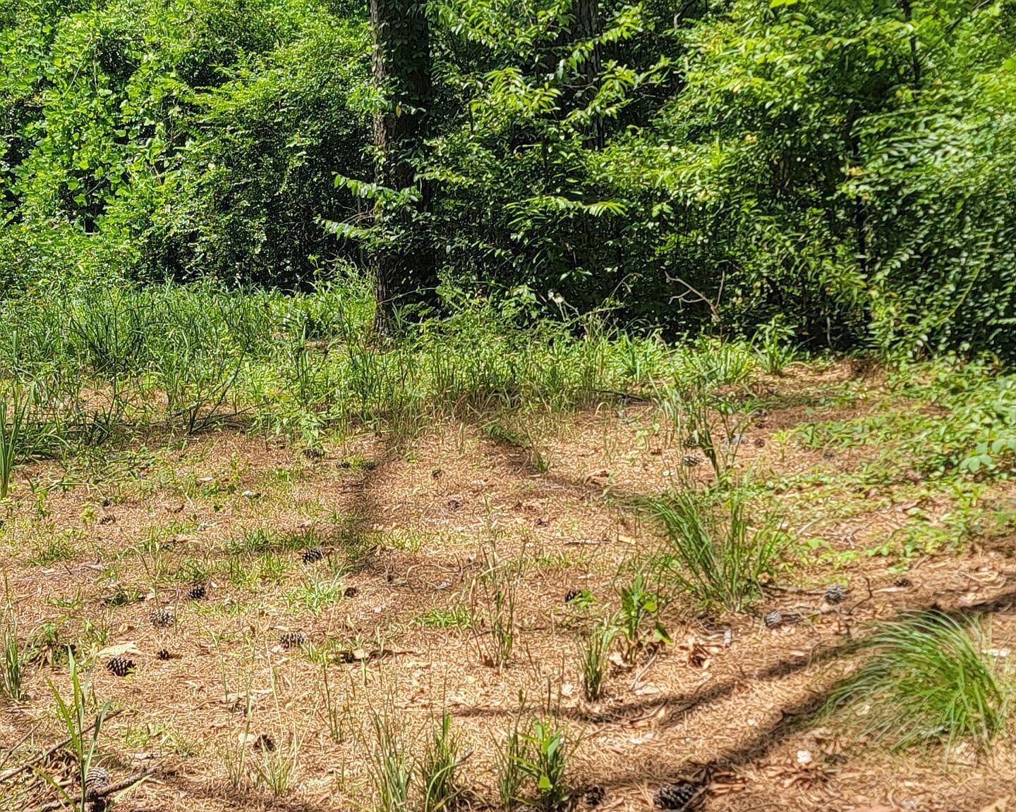 241 Lea Cir Jackson, MS 39204  | Single Family