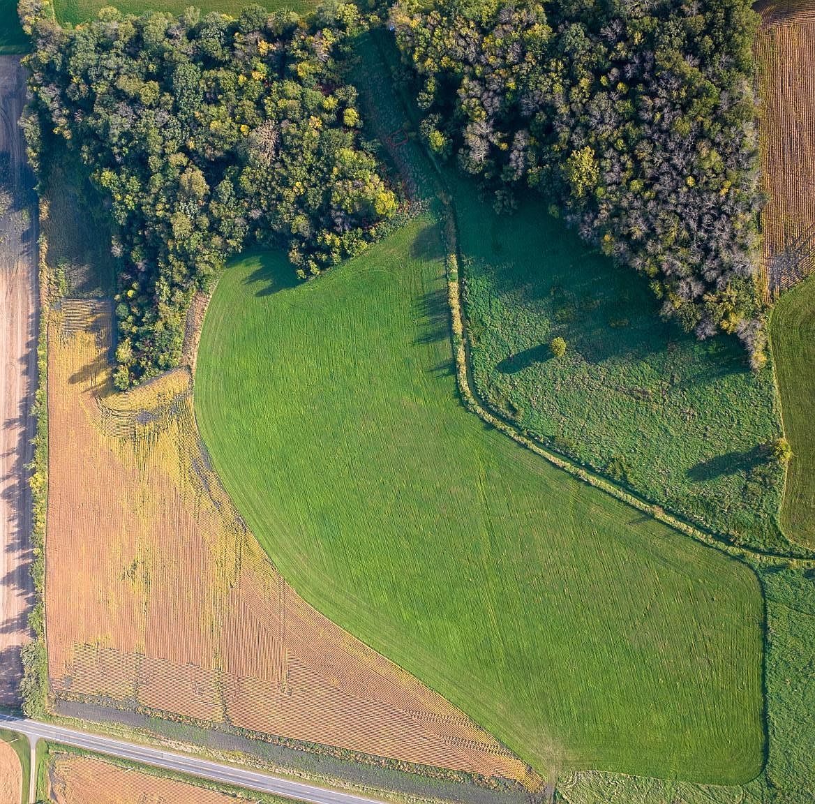 County Road 50 Carver, MN 55315 | Land/Lot