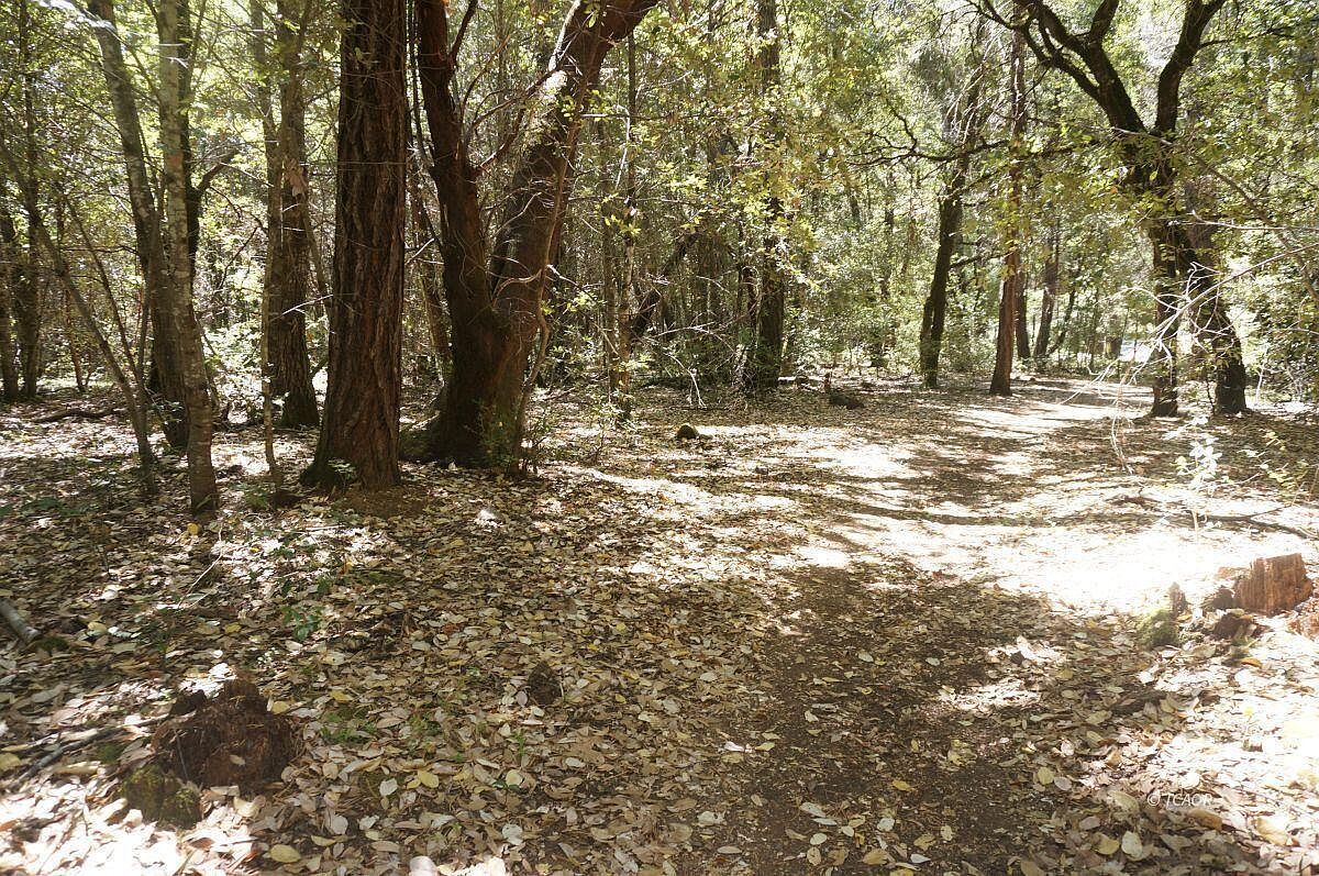 30 Suzy Q Rd Burnt Ranch, CA 95527  | Land/Lot