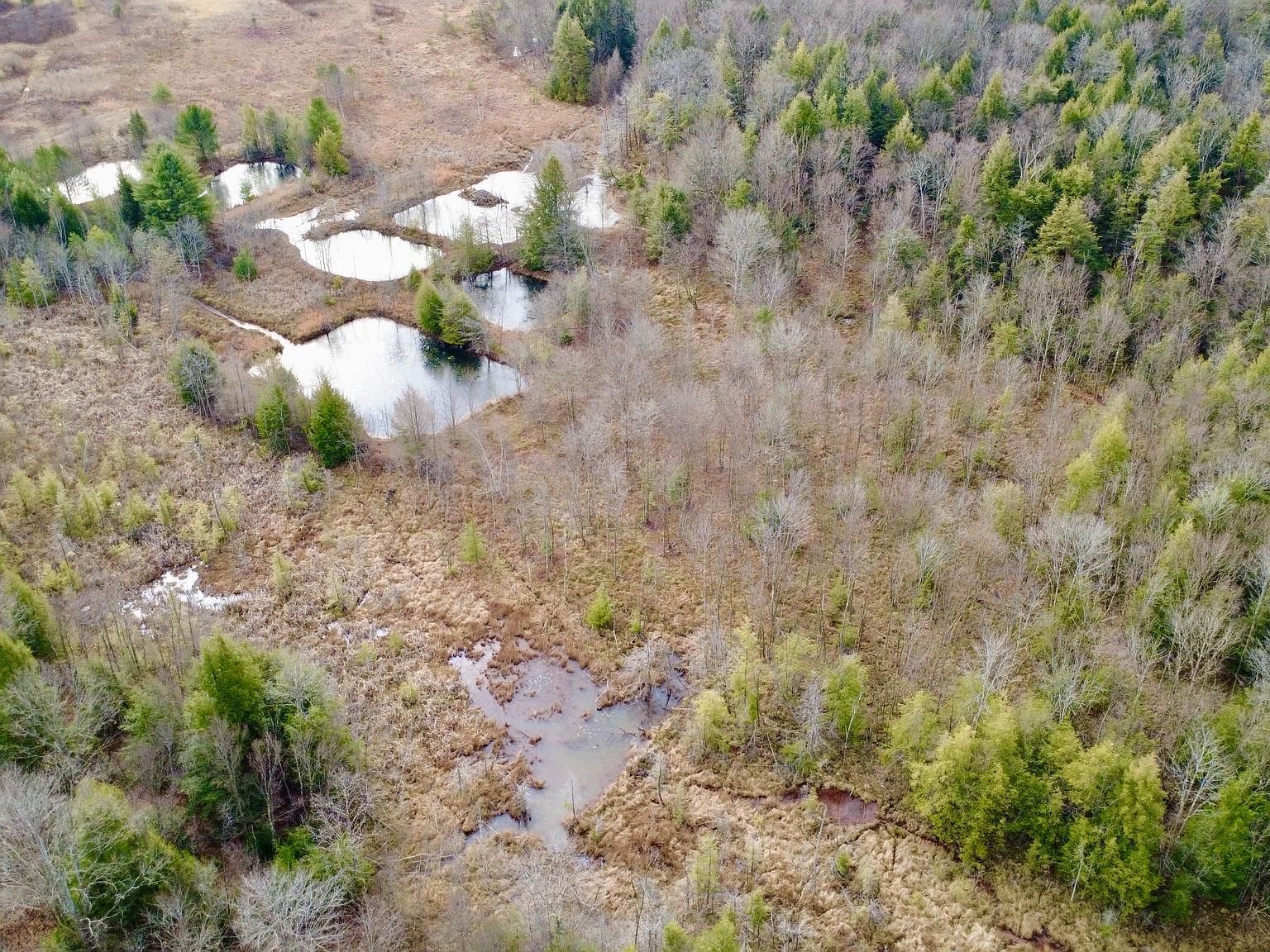 1042 Lower Hollow Rd Morrisdale, PA 16858 | Land/Lot