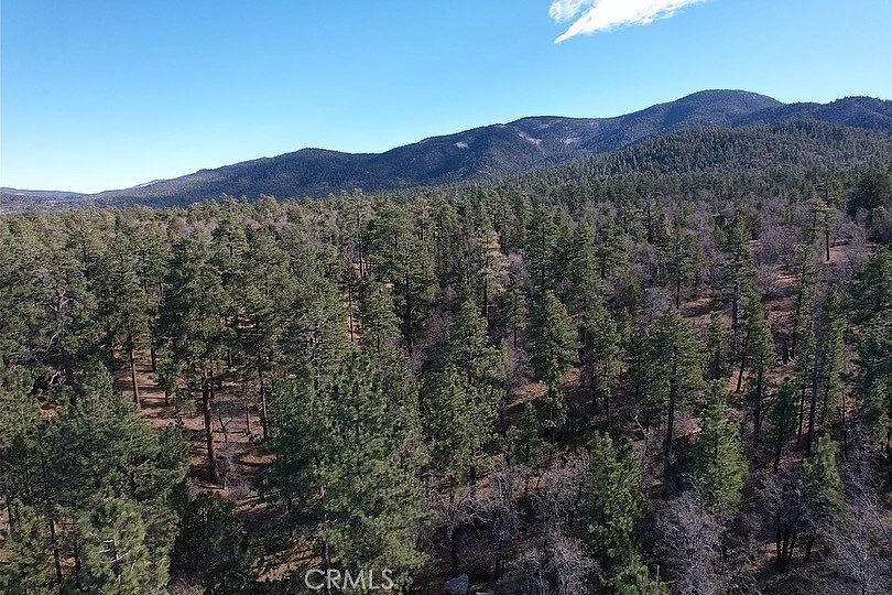 899 Kern Ave #17 Sugarloaf, CA 92386 | Land/Lot