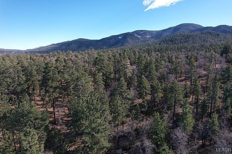 899 Kern Ave Sugarloaf, CA 92386  | Land/Lot