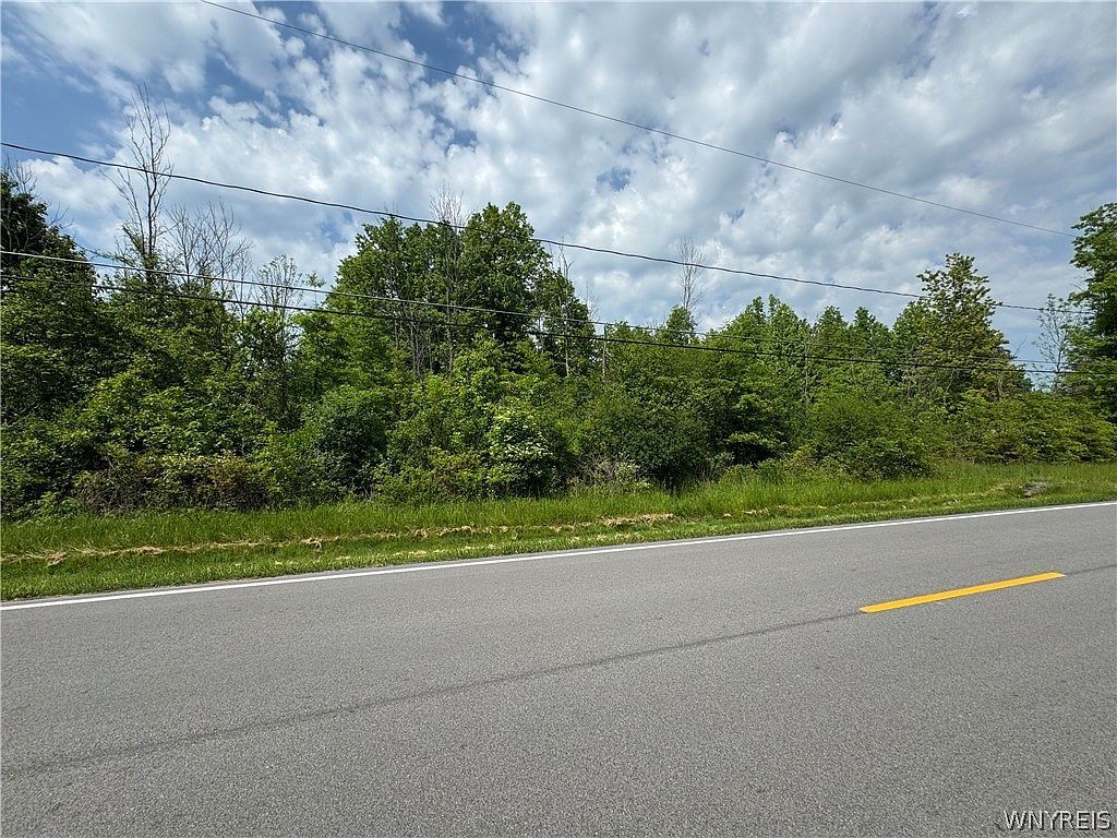 Cain Rd #29 Youngstown, NY 14174  | Land/Lot