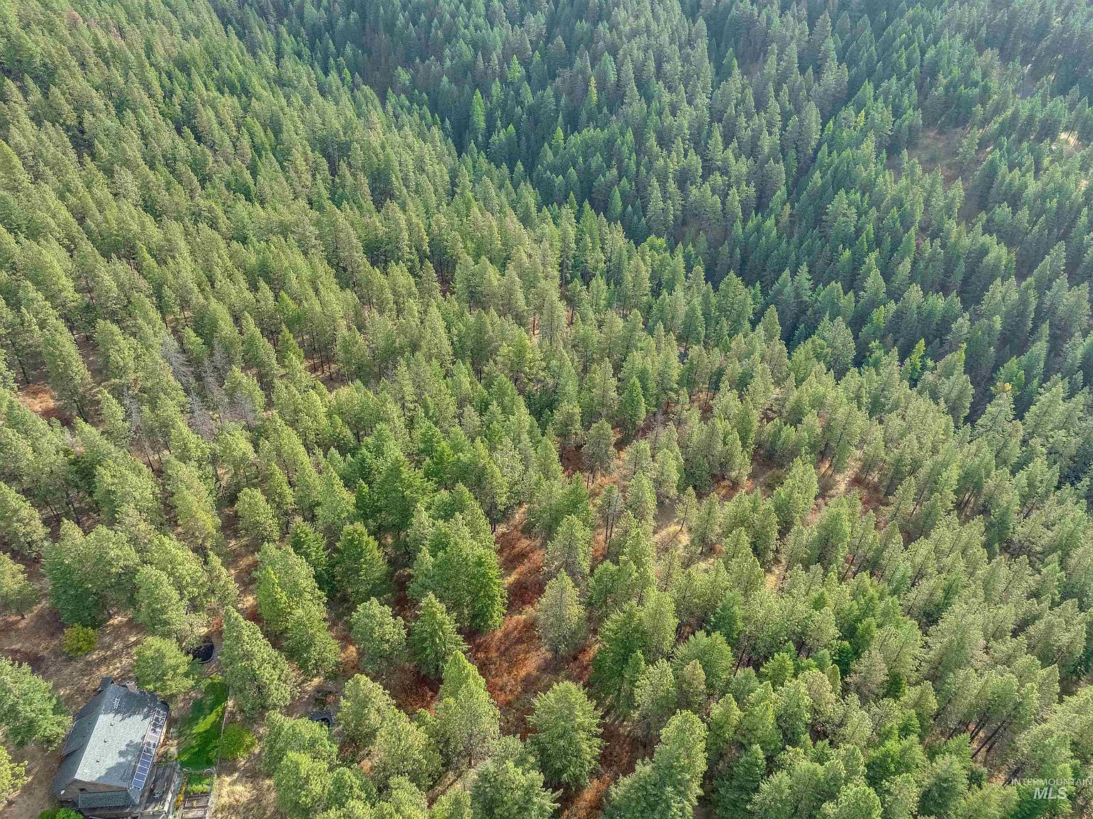 Tbd Foothill Rd Moscow, ID 83843  | Land/Lot