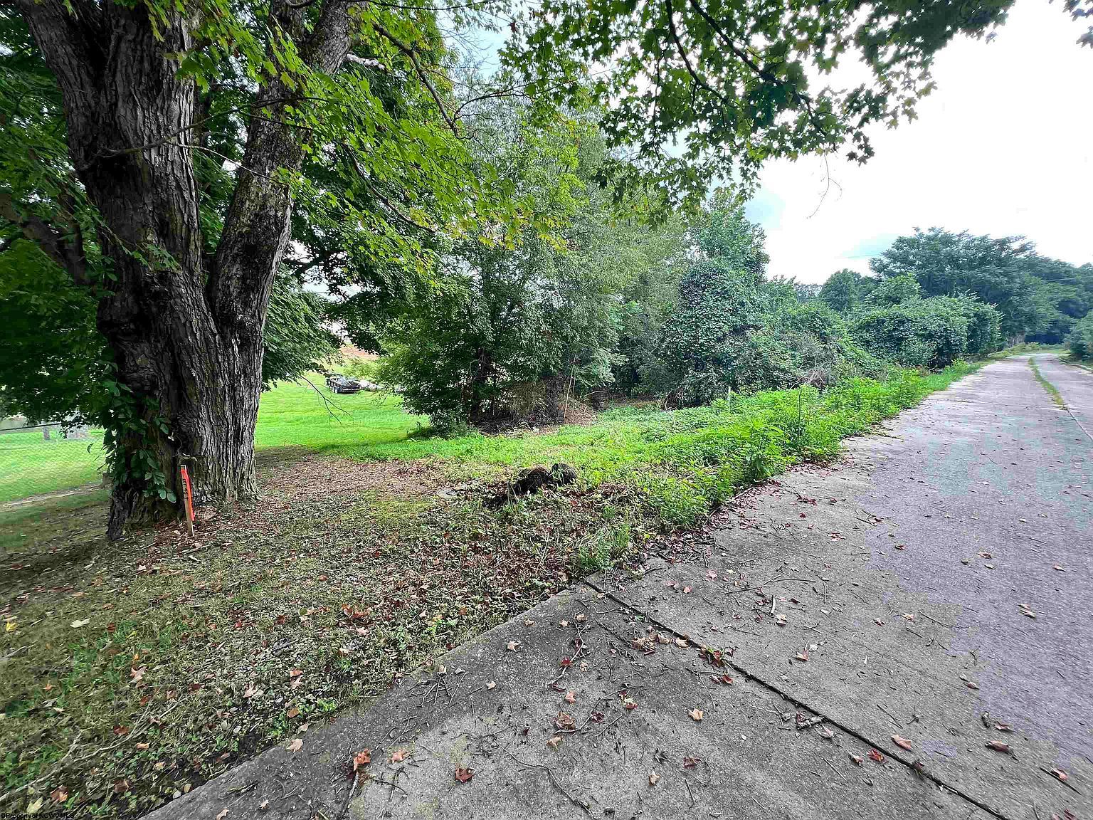 43 Carlson Dr Grafton, WV 26354  | Land/Lot