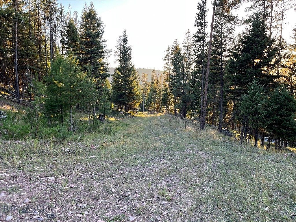 451 Crimson Peak Ct Seeley Lake, MT 59868  | Land/Lot