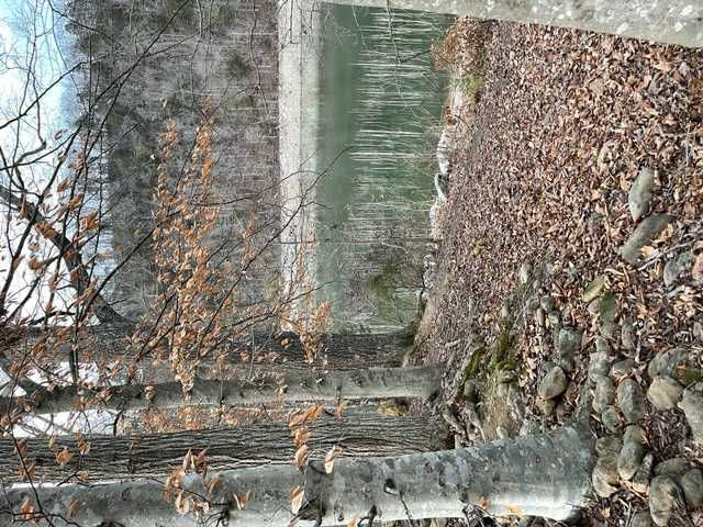 1240 Reynolds Road, Piney Flats, TN, USA, 37686  | Land/Lot