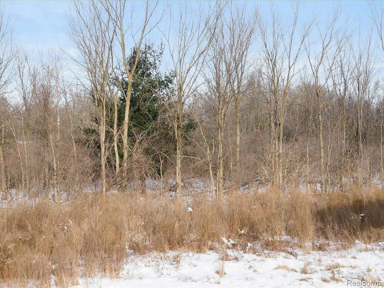 Wadhams Rd Saint Clair, MI 48079  | Land/Lot