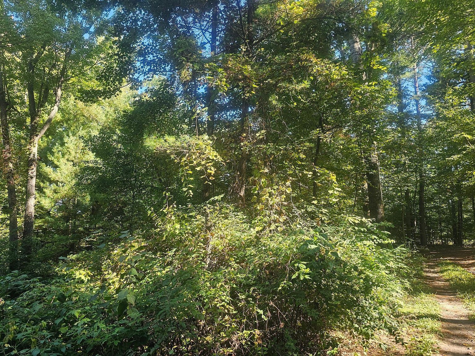 Xx E Bass Lake Rd Webster, WI 54893 | Land/Lot