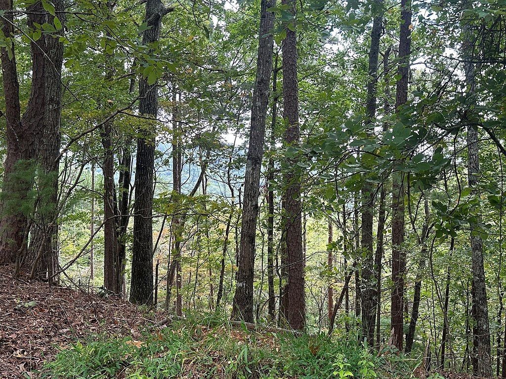 LOT A28 Laurel Ridge Dr Ellijay, GA 30536  | Land/Lot