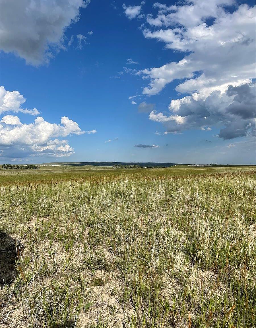 Log Rd Peyton, CO 80831  | Land/Lot