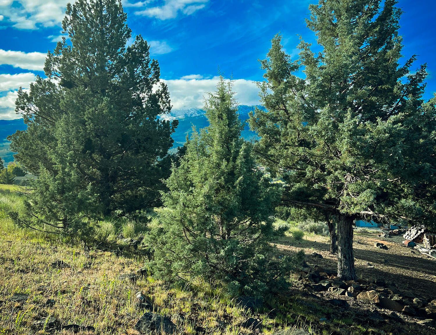 229 Valley View Dr John Day, OR 97845  | Land/Lot