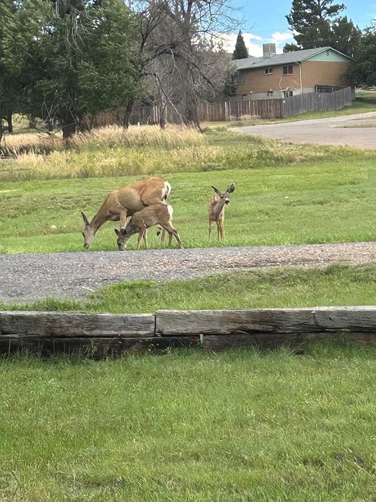 Hicklin Dr Colorado City, CO 81019 | Land/Lot