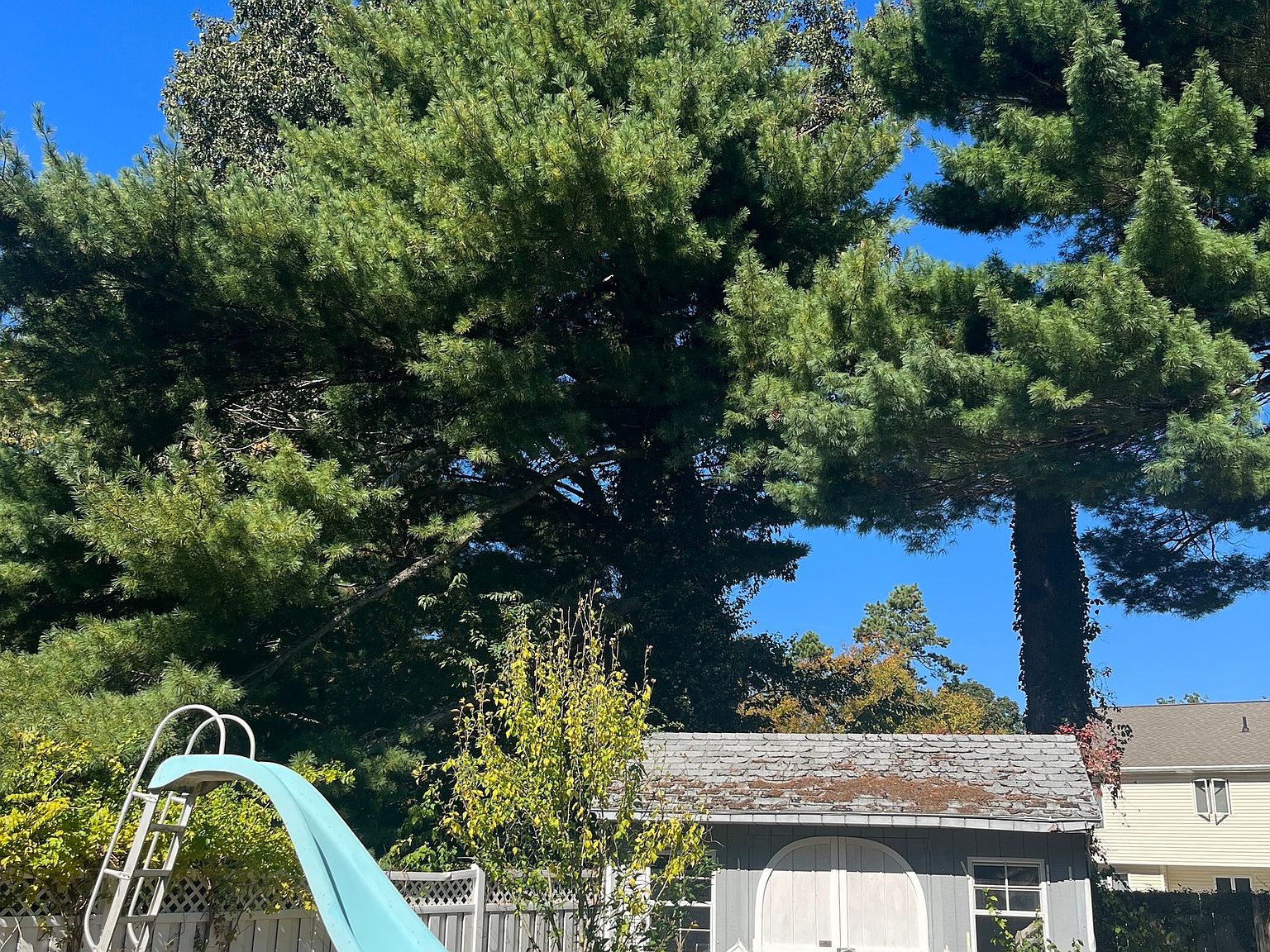 63 Rita Dr Bristol, CT 06010  | Single Family