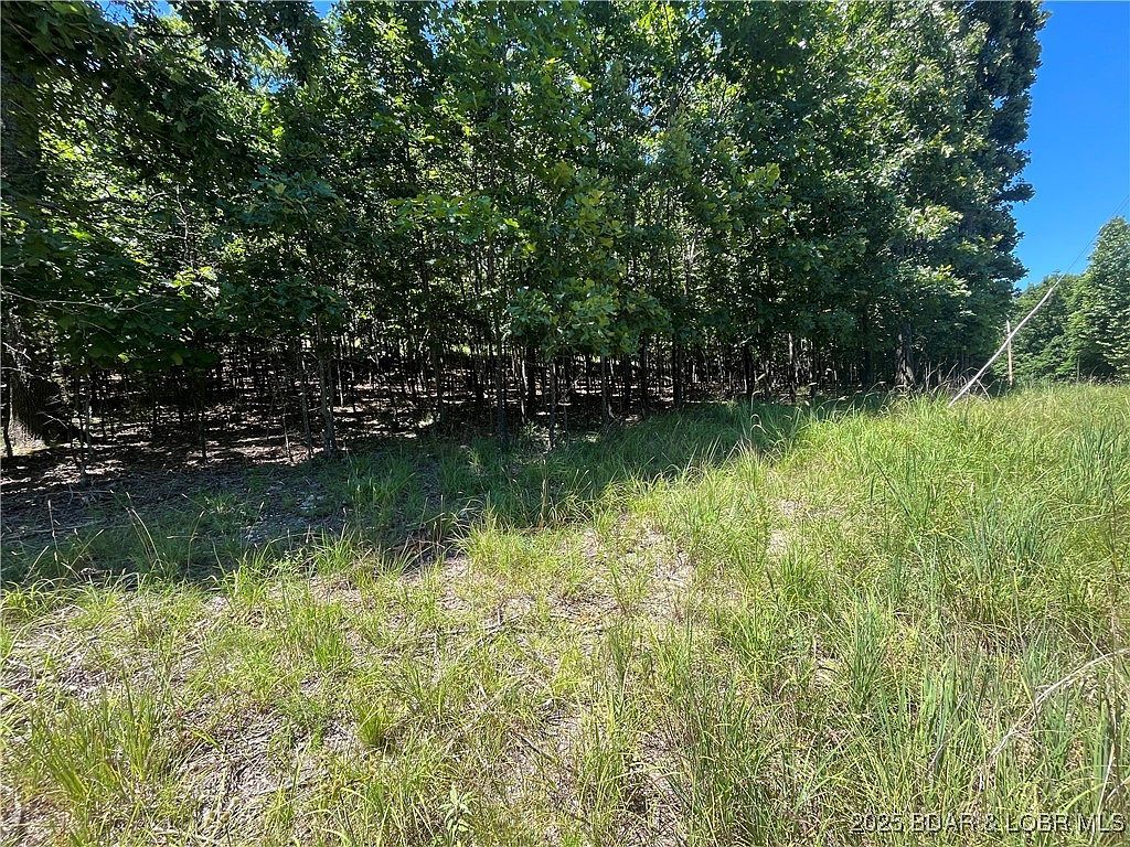 Lots 1393 & 1394 Ashton Ln Camdenton, MO 65020  | Land/Lot