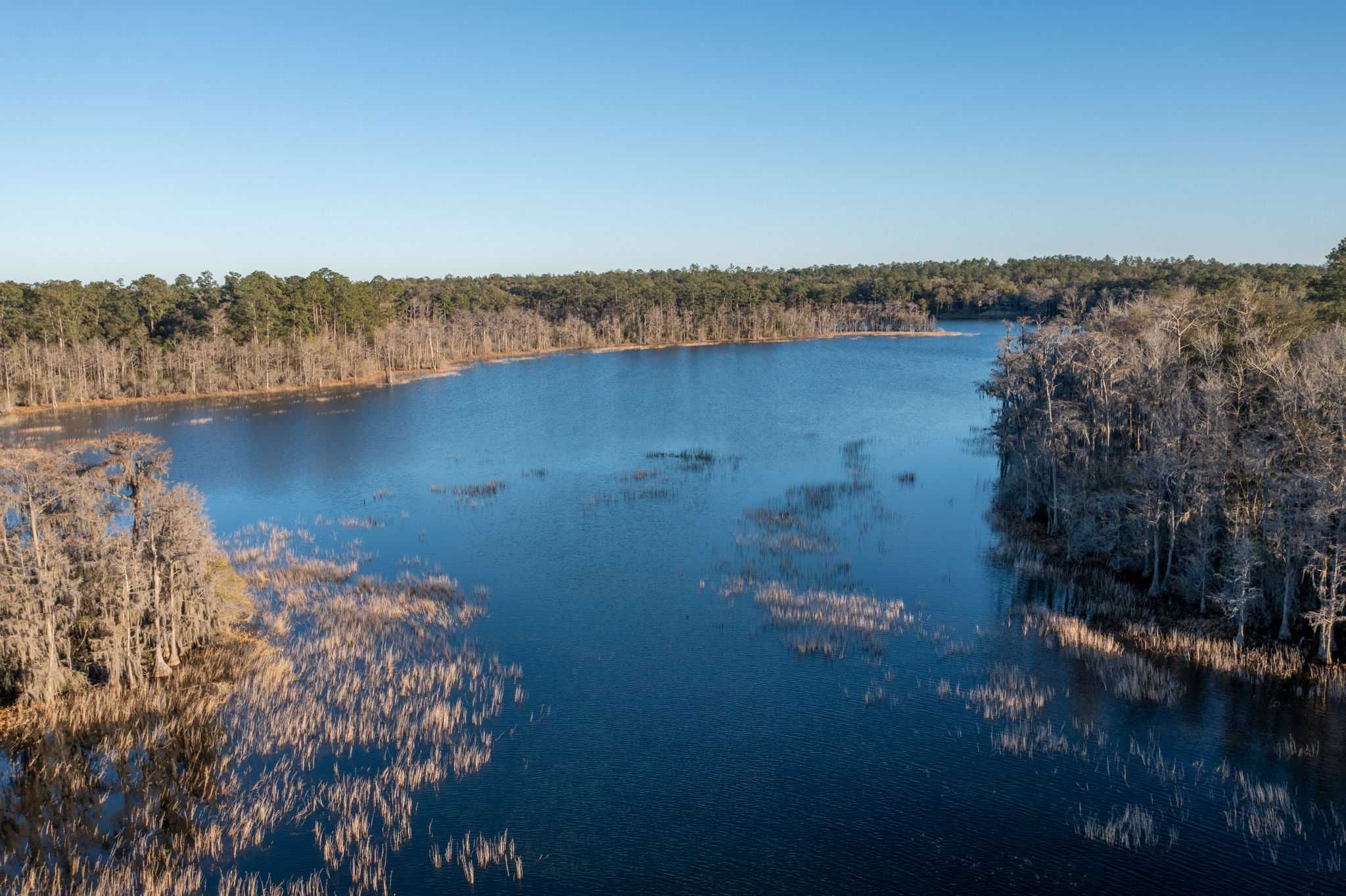 Lot 9 Paradise Lakes Road, Chipley, FL, 32428 - Thumbnail 3