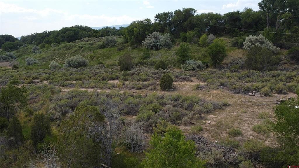 21538 Hamilton Rd Eckert, CO 81418 | Land/Lot