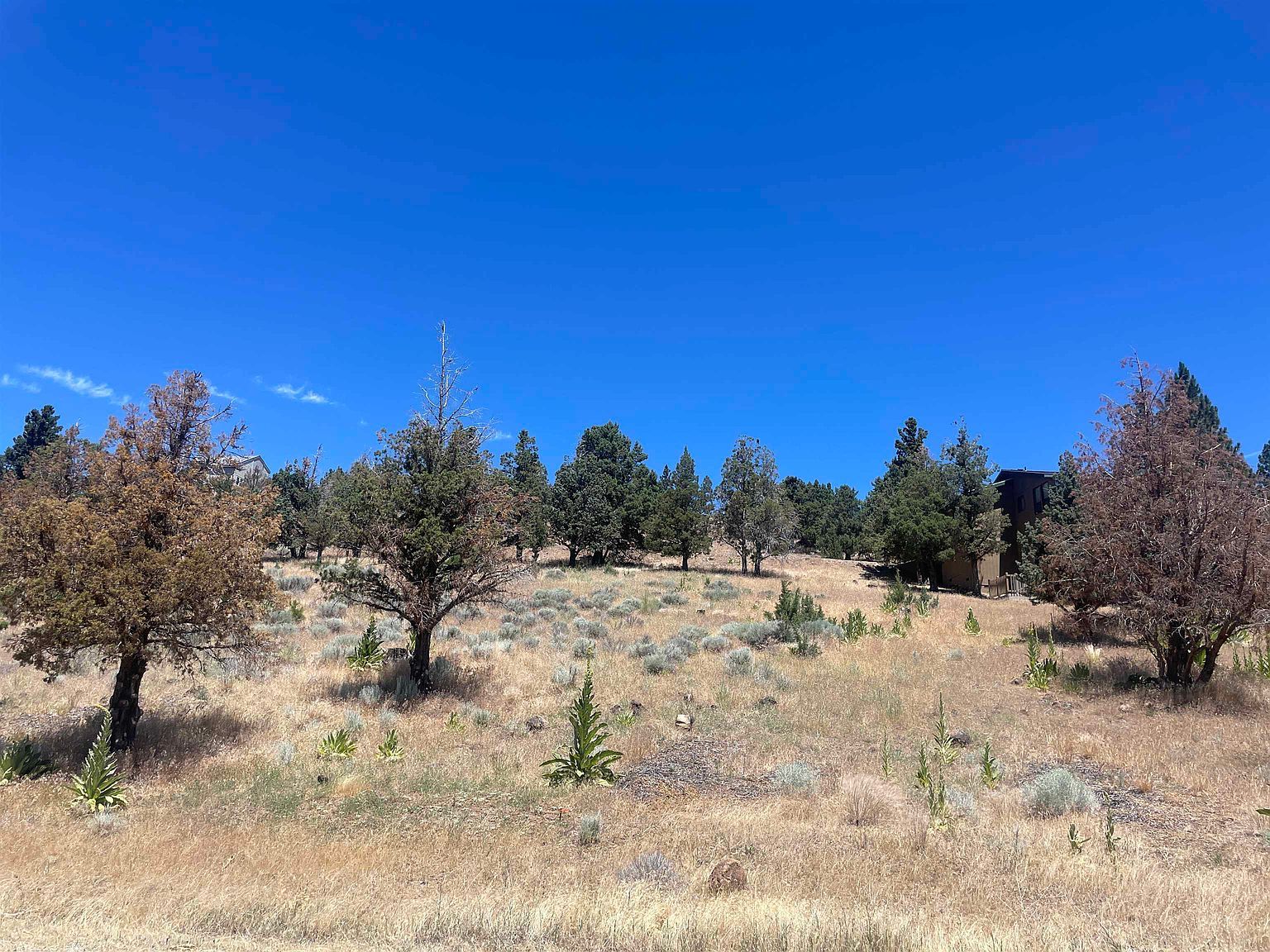 0 Saddle Ridge Rd Weed, CA 96094  | Land/Lot