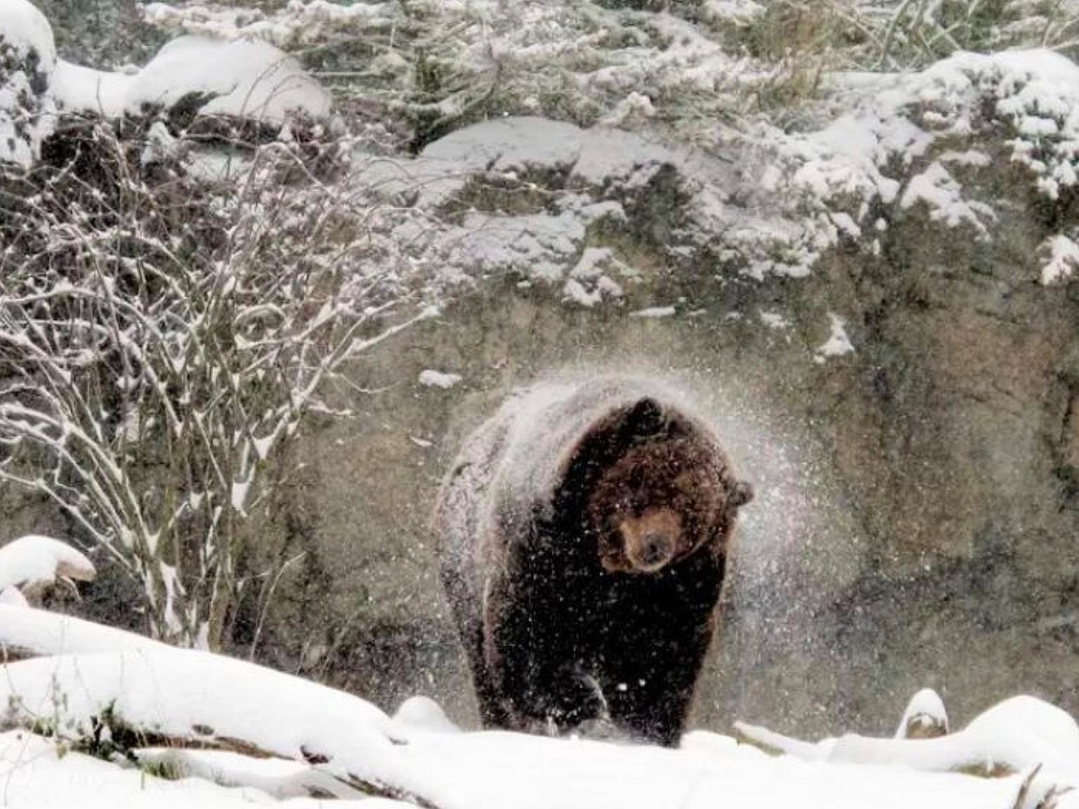 0 Chilkat Lake Rd Haines, AK 99827  | Land/Lot