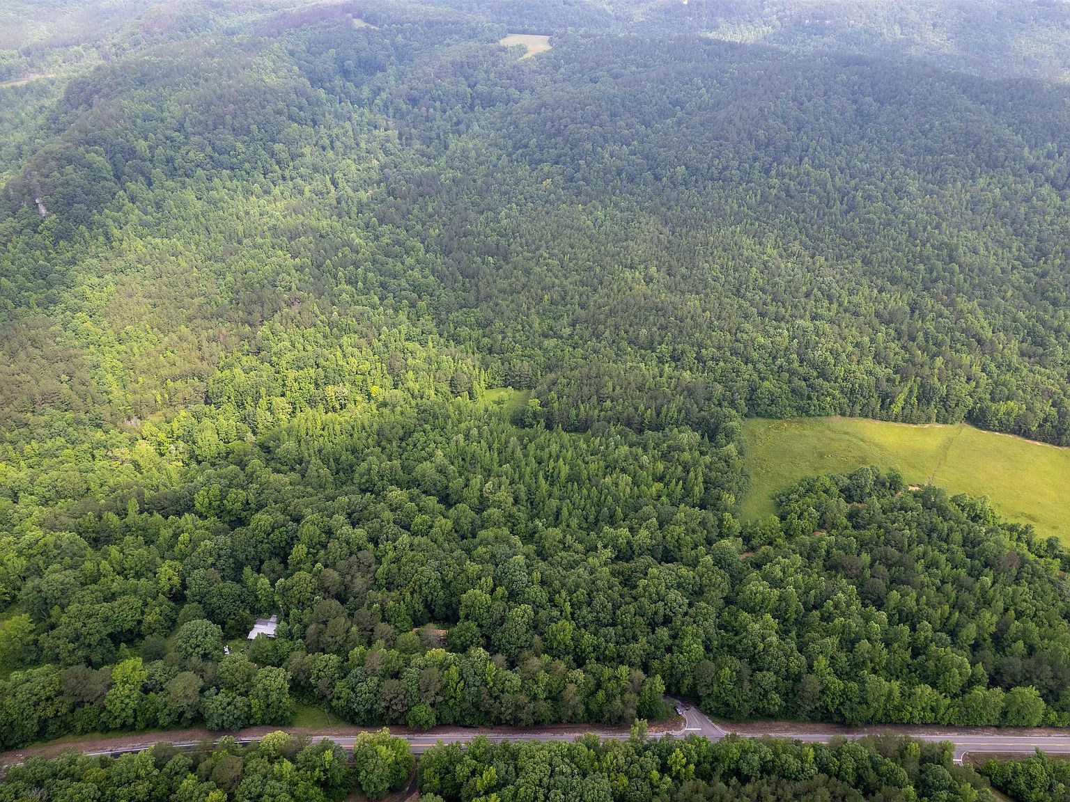 0 Posey Loop Tuscumbia, AL 35674 | Land/Lot