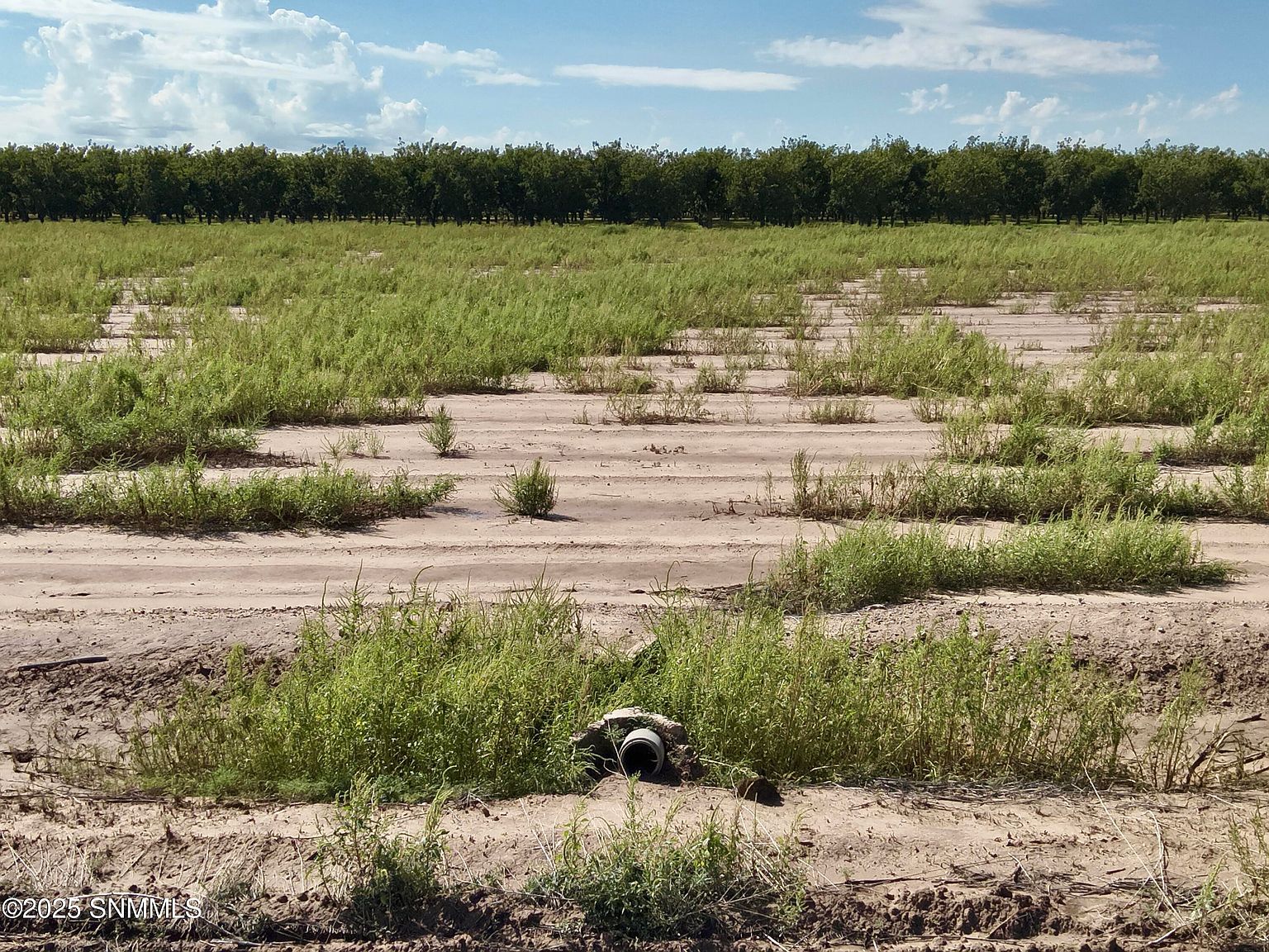 217 Sunshine Ln Mesquite, NM 88048 | Land/Lot