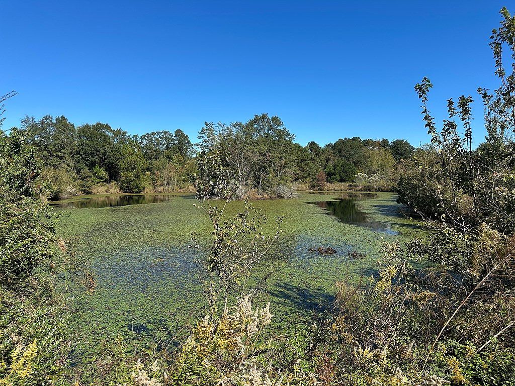 0 State Highway 82 Sumner, GA 31789  | Land/Lot