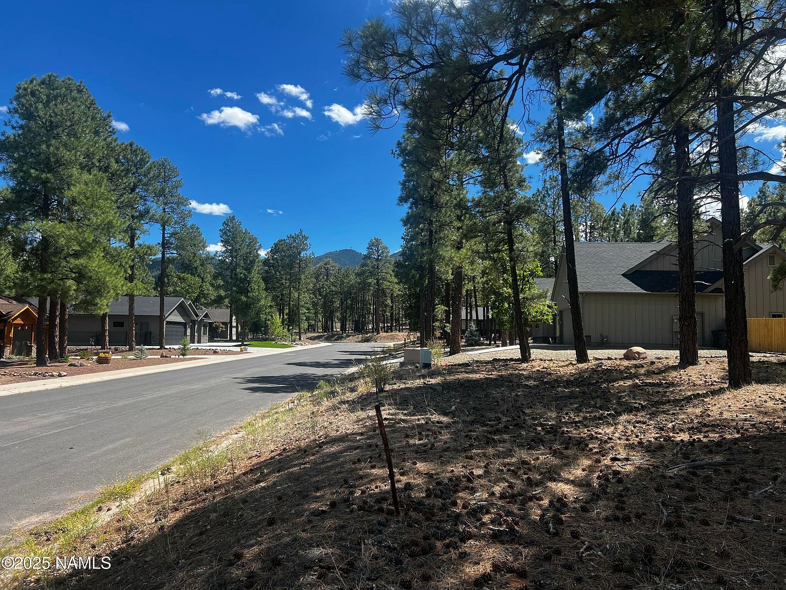 938 S Torrey Pines Dr Williams, AZ 86046  | Land/Lot