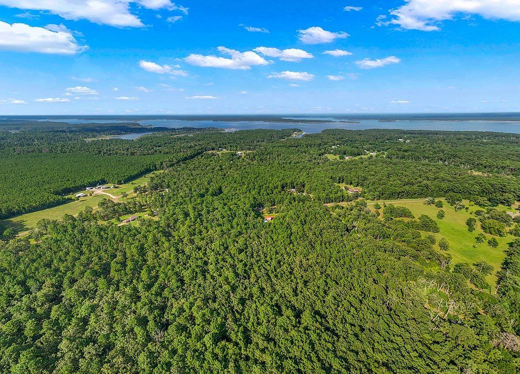 288 County Road 469 Broaddus, TX 75929 | New build