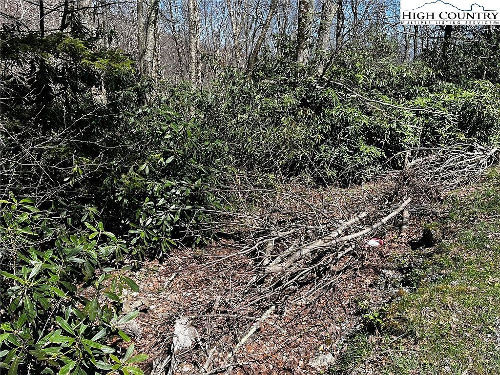 117 Wild Daisy Ln Banner Elk, NC 28604  | Land/Lot
