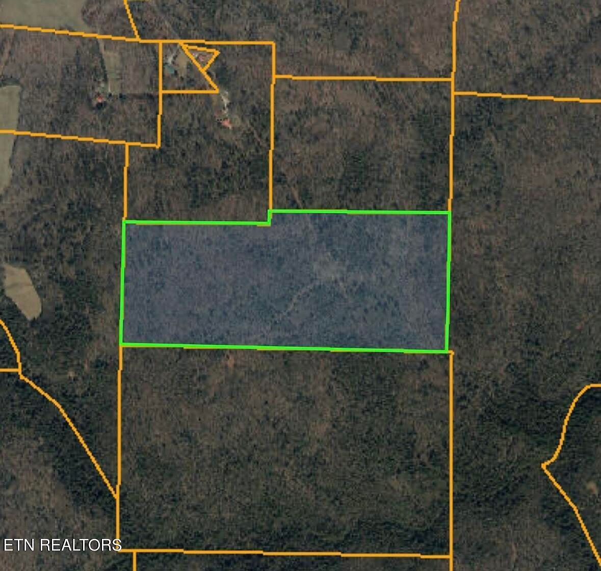 144 Gunter Pl Sunbright, TN 37872 | Land/Lot