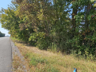 0 Route 3 Hwy Grand Tower, IL 62942